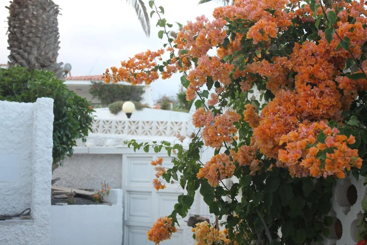 Chalet Con Piscina Privada De 2 Dormitorios, Terrazas, Jardin Y Barbacoa - Casa Momo Poris de Abona